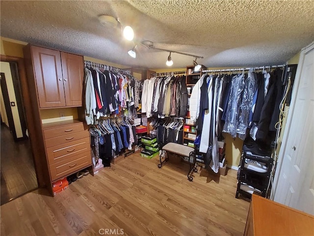 spacious closet featuring light hardwood / wood-style flooring