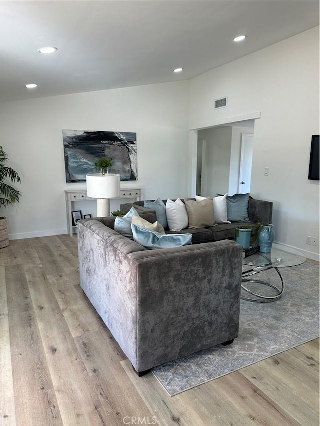 living room featuring light hardwood / wood-style flooring