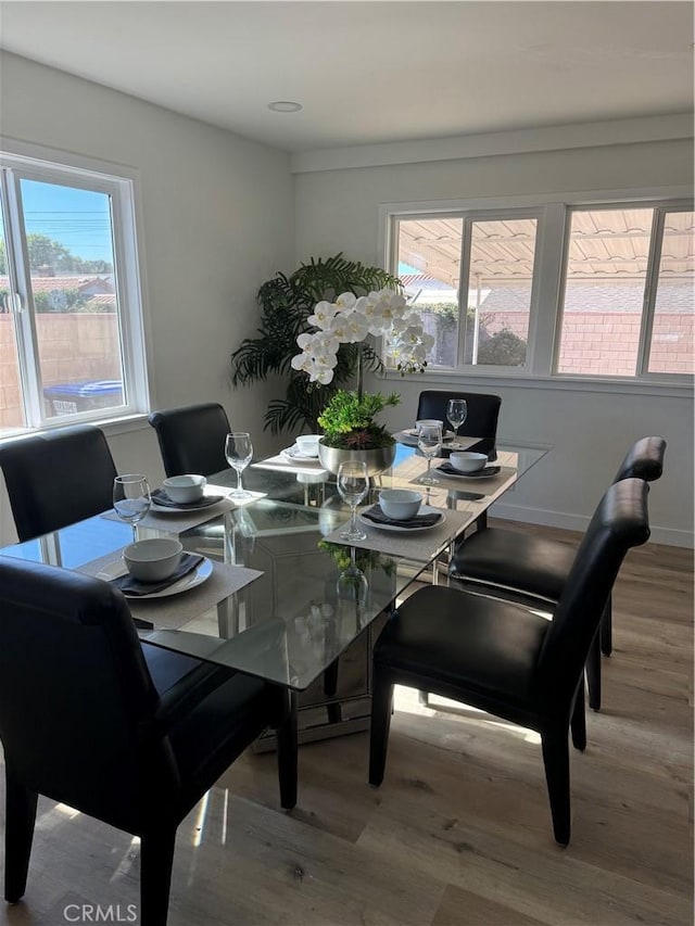 dining room with wood-type flooring