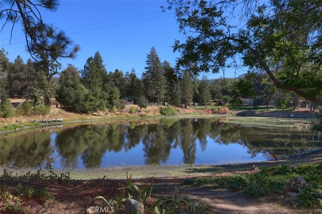 view of water feature