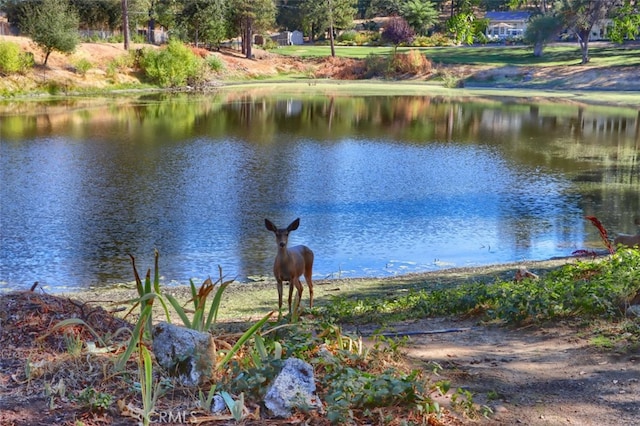 property view of water