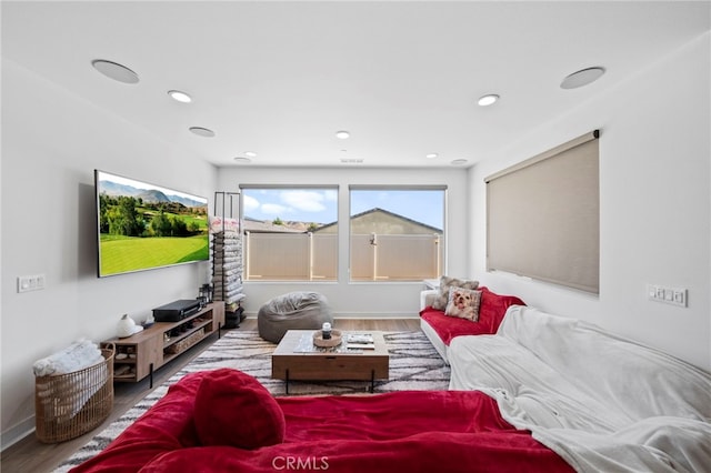 living room featuring hardwood / wood-style floors