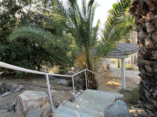 view of yard featuring a patio