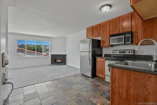 kitchen with dark carpet, ornamental molding, sink, and appliances with stainless steel finishes