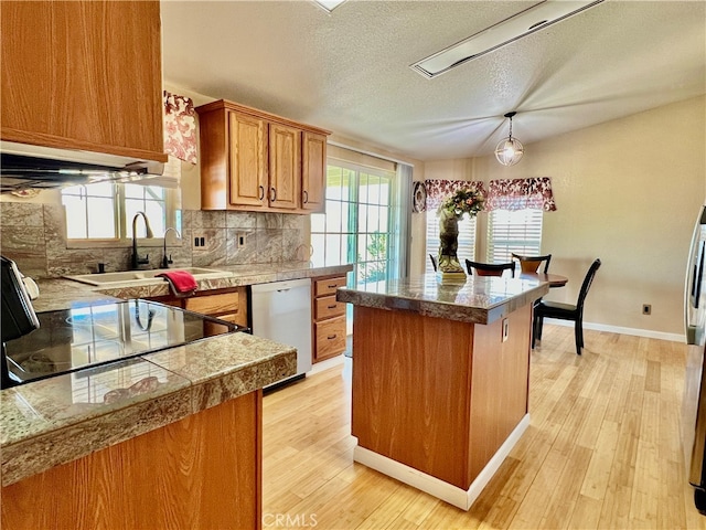 kitchen featuring a healthy amount of sunlight, dishwasher, and light wood-type flooring