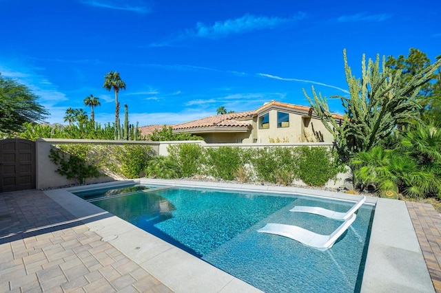 view of pool with a patio