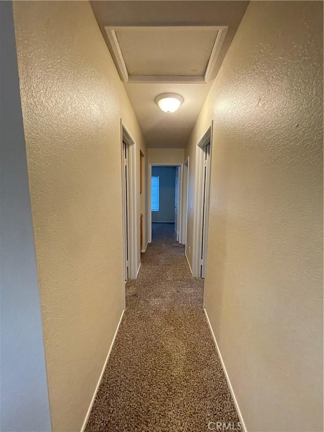 corridor featuring carpet flooring