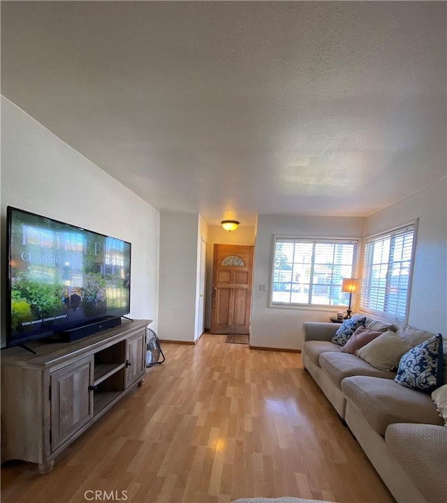 living room with light wood-type flooring