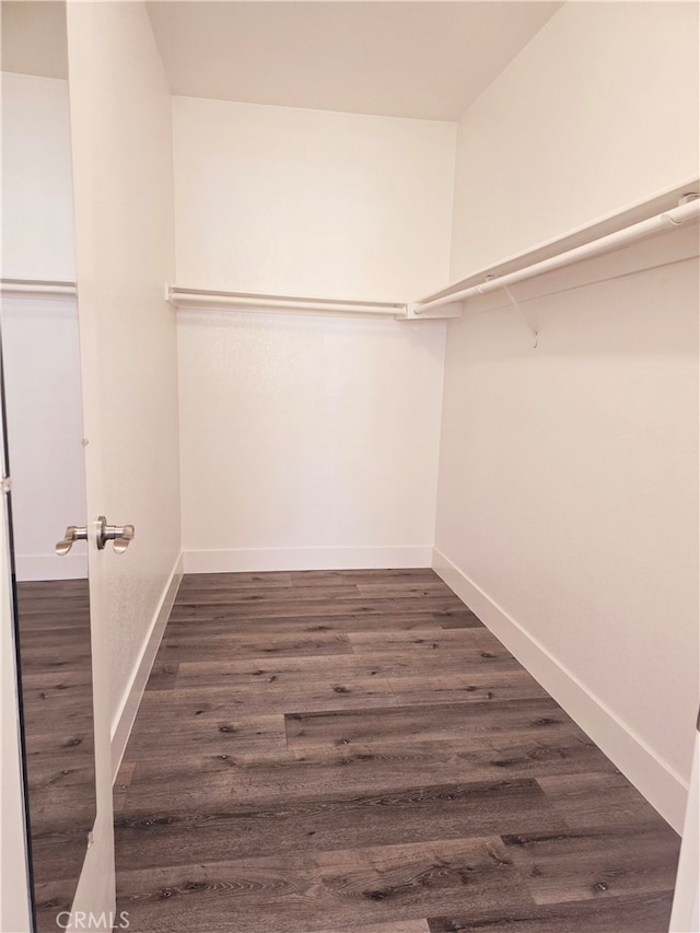 walk in closet featuring dark hardwood / wood-style flooring