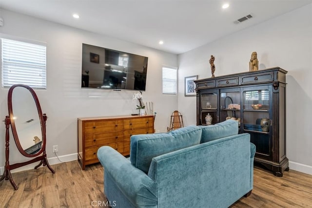 living room with wood-type flooring