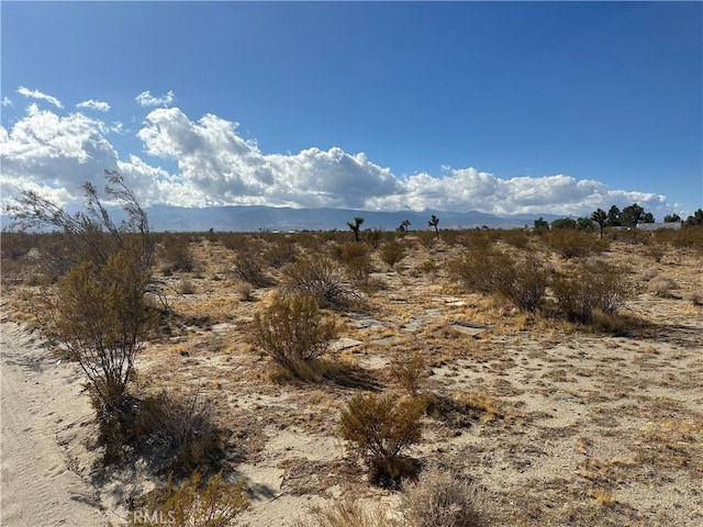 14778 Johnson Rd, Phelan CA, 92371 land for sale