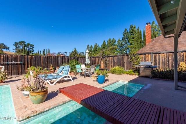 view of swimming pool with area for grilling and a patio