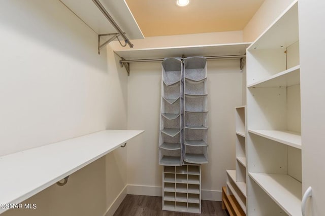 walk in closet with dark wood-type flooring