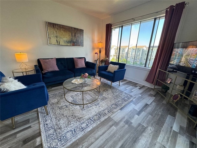 living room featuring hardwood / wood-style flooring