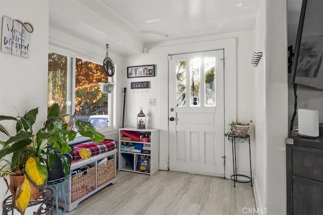 entrance foyer with plenty of natural light and light hardwood / wood-style floors