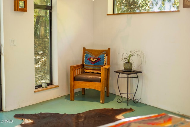 living area with concrete floors