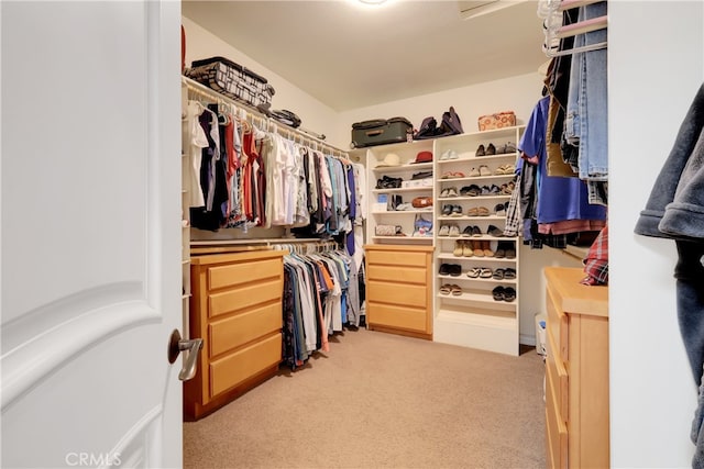 walk in closet featuring light carpet