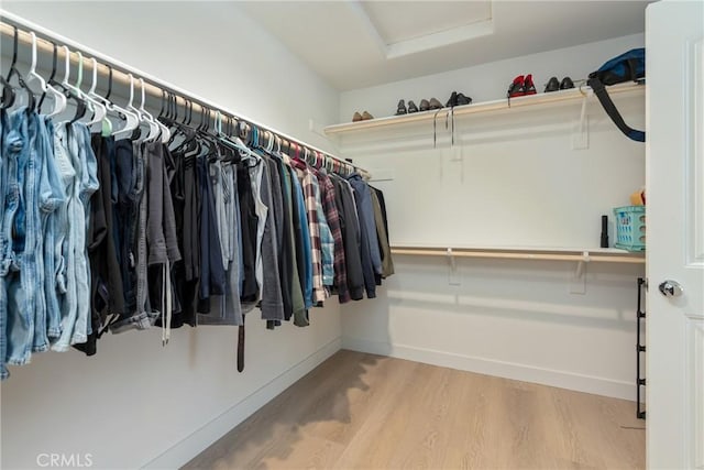 walk in closet featuring hardwood / wood-style flooring