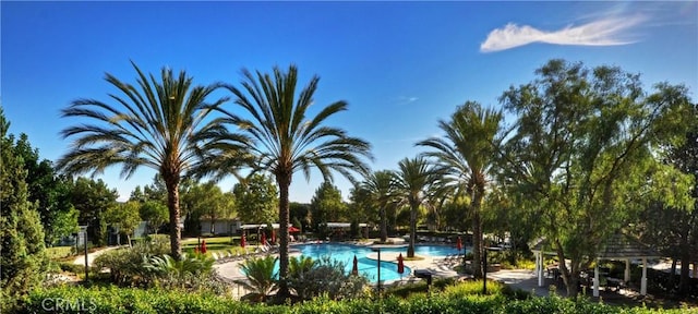 view of swimming pool featuring a gazebo