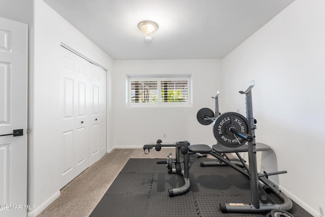 workout area featuring carpet floors