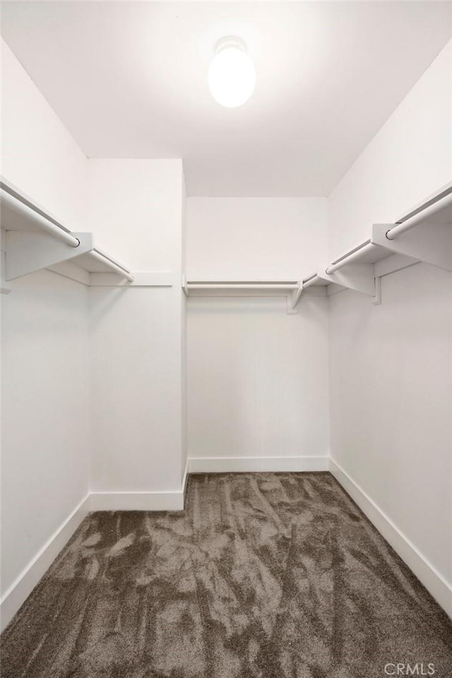 7385 Darnoch Way, West Hills, CA 91307 - walk in closet with carpet