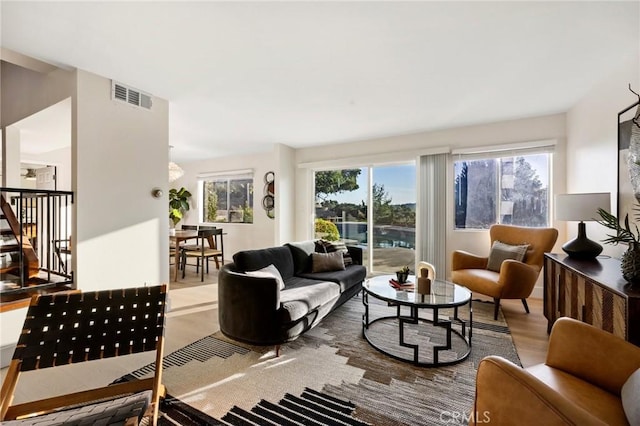 living room featuring wood-type flooring and a wealth of natural light