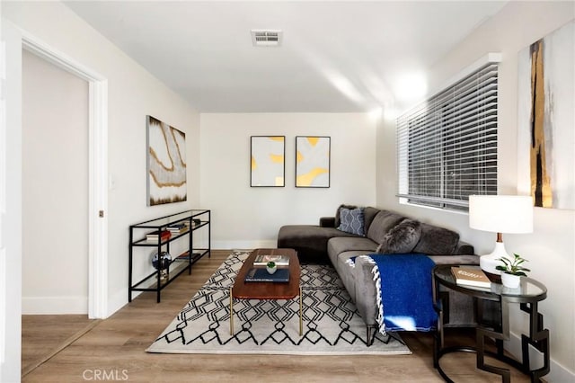 living room featuring wood-type flooring