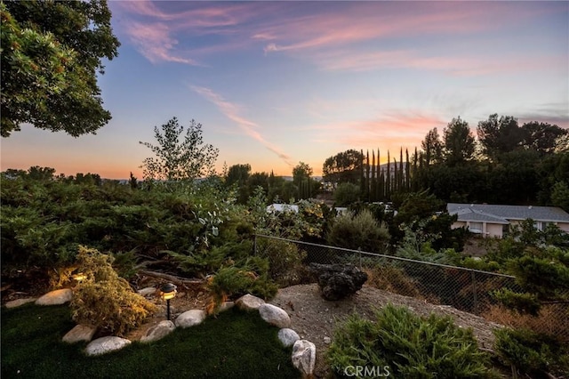 view of yard at dusk