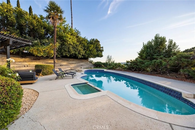 view of pool with a patio area