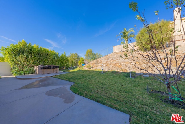 view of yard featuring a patio