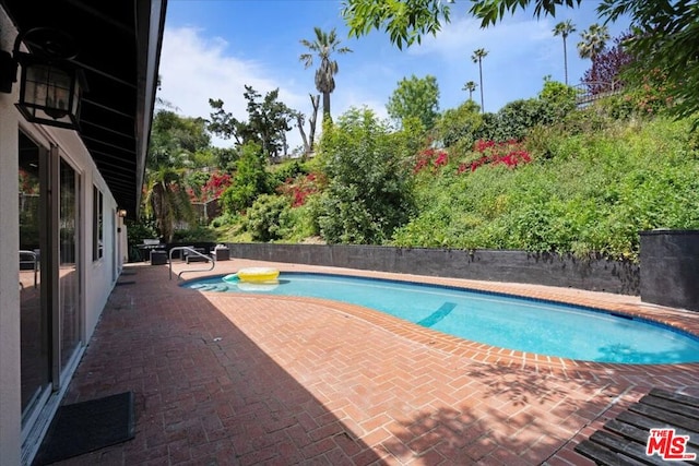 view of pool with a patio