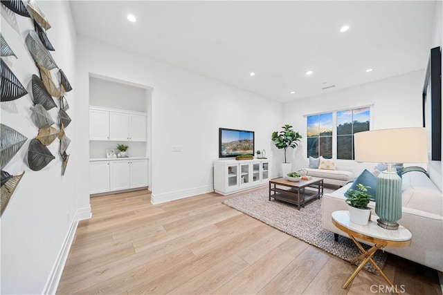 living room featuring light hardwood / wood-style floors