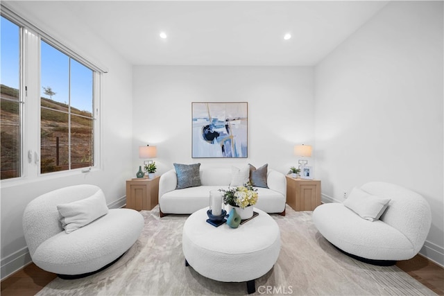 living room with hardwood / wood-style flooring