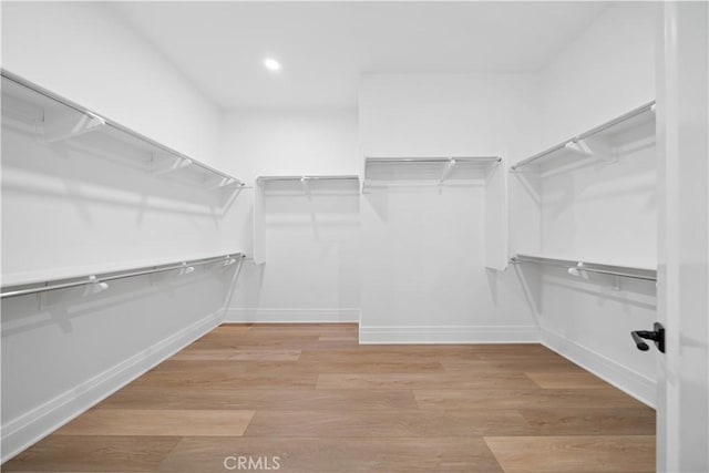 walk in closet featuring light hardwood / wood-style flooring