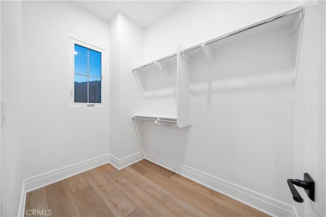 spacious closet featuring hardwood / wood-style floors