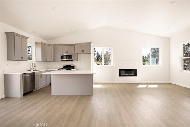 kitchen with light hardwood / wood-style floors, a healthy amount of sunlight, stainless steel appliances, and a kitchen island