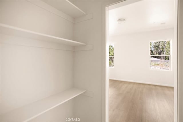 interior space featuring wood-type flooring