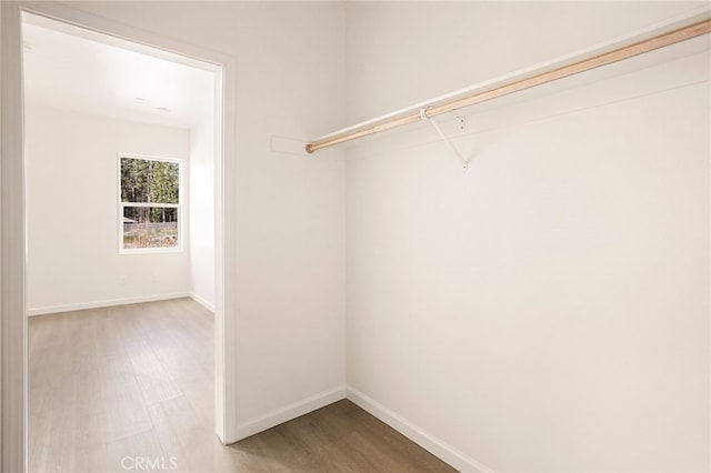 walk in closet featuring wood-type flooring