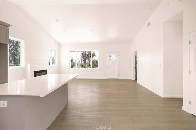 unfurnished living room featuring wood-type flooring and vaulted ceiling