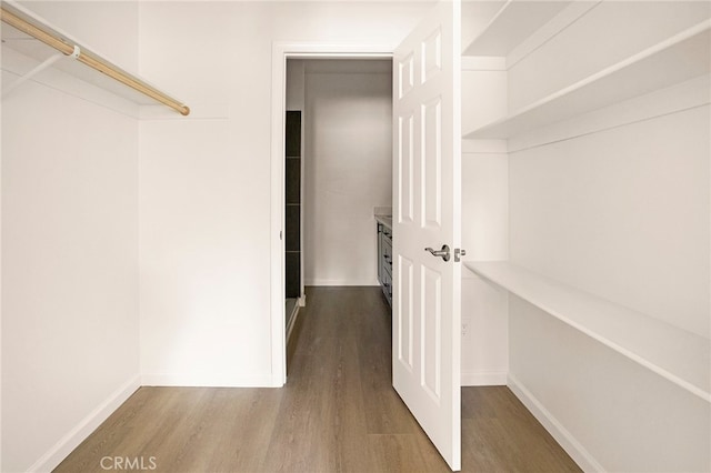 spacious closet featuring wood-type flooring