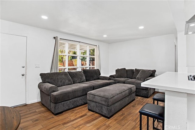 living room featuring hardwood / wood-style flooring