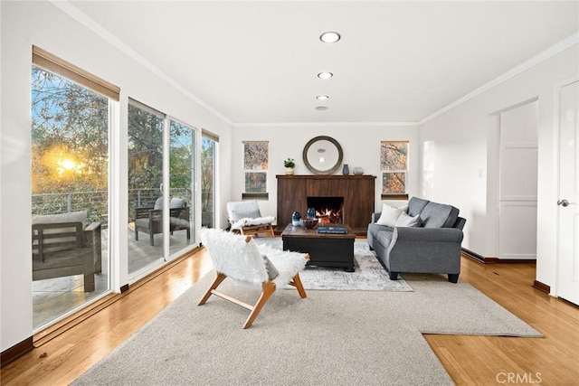 living room featuring light hardwood / wood-style floors and ornamental molding