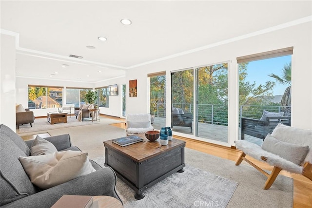 living room with ornamental molding and light hardwood / wood-style flooring