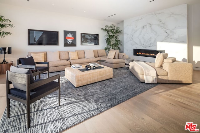 living room featuring a fireplace and wood-type flooring