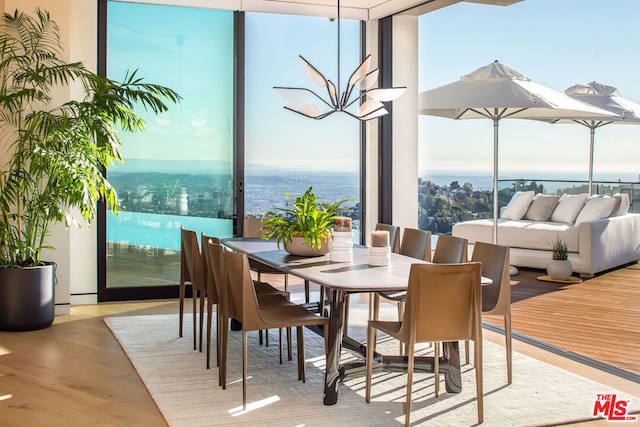 dining room featuring expansive windows and light hardwood / wood-style floors