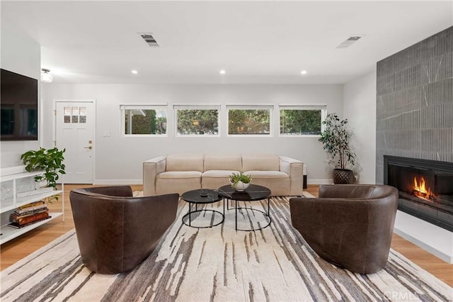 living room featuring a large fireplace, plenty of natural light, and light hardwood / wood-style floors