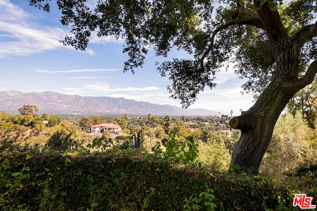 view of mountain feature