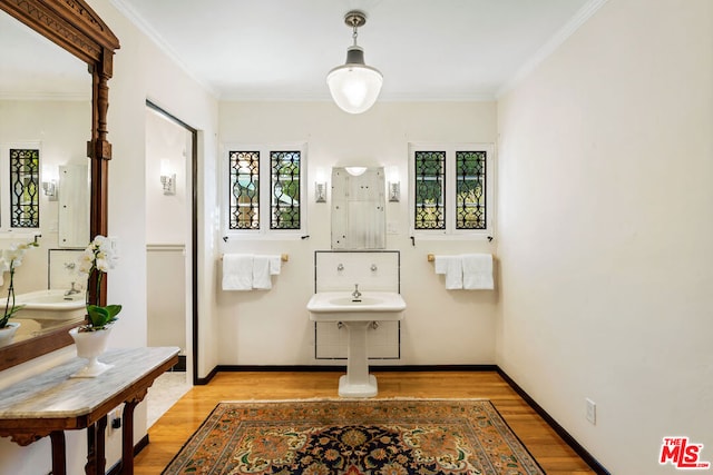 bathroom with ornamental molding and wood-type flooring