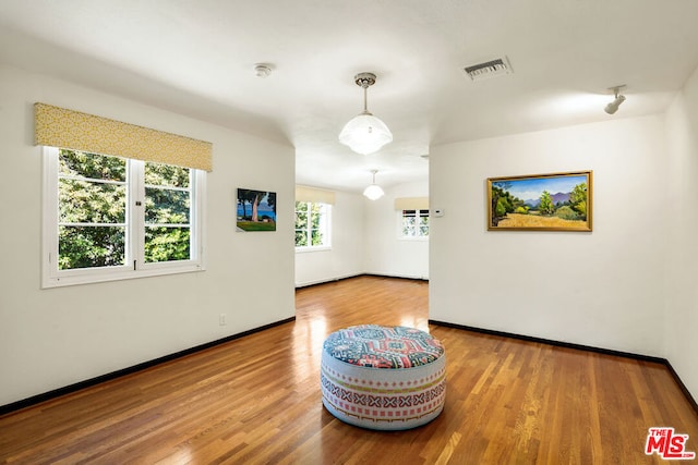 empty room with wood-type flooring