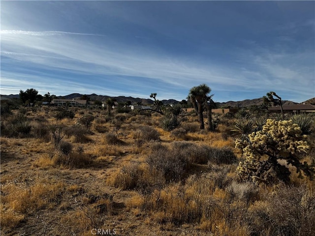 Listing photo 3 for 0 Plute Trl, Yucca Valley CA 92284